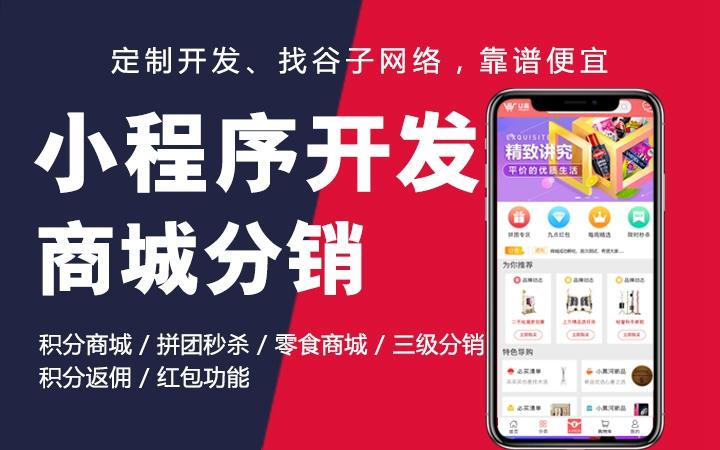 微信小程序定制開發(fā)小程序軟件定制開發(fā)小程序商城h5