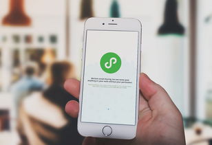 小程序定制開發服務