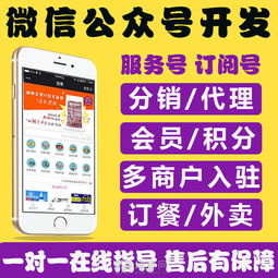 小程序公眾號定制開發游戲營銷系統開發做網站 南昌其它服務