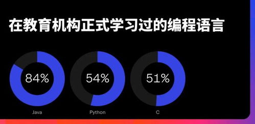 中國有多少java程序員