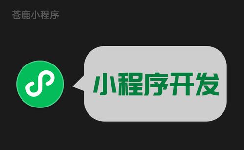 小程序模板開發和小程序定制化開發,該怎么選