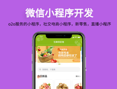自貢小程序商城開發制作,開發一個小程序商城需要多少錢
