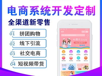 圖 鄭州app小程序定制開發制作公司 10年老牌軟件公司 鄭州網站建設推廣