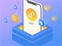 成都軟件開發公司