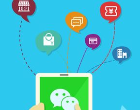 海口微信小程序定制開發,小程序為何受到熱棒