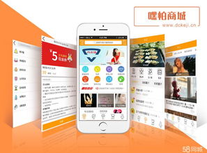 徐州app開發,公眾開發,小程序開發,軟件開發