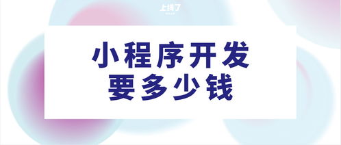 Java開發、小程序開發及定制開發費用解析